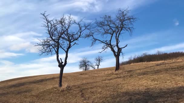 Paisajes Otoñales Las Tierras Altas Bohemia Central República Checa — Vídeos de Stock