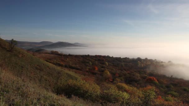 Ködös Reggel Ősszel Central Bohemian Highlands Cseh Köztársaság — Stock videók