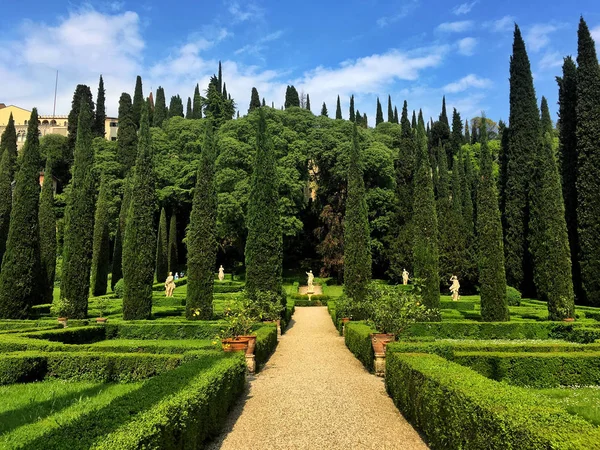 Verona Italia Mayo 2018 Giusti Palace Garden Encuentra Poca Distancia —  Fotos de Stock