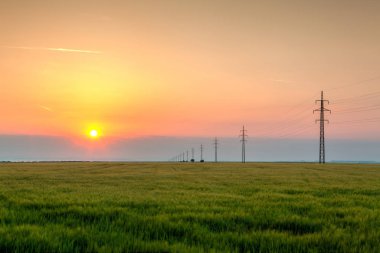 Buğday alan Central Bohemians Highlands, Çek Cumhuriyeti, sabah yatay yaz. HDR görüntü