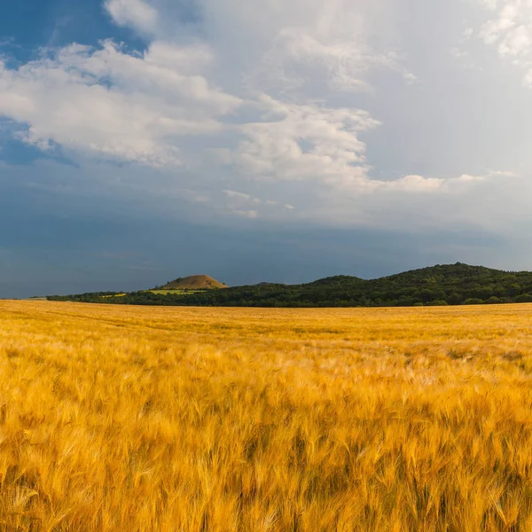 Vista Sulla Collina Cicov Boemia Ceca Highlands Prima Forte Tempesta — Foto Stock