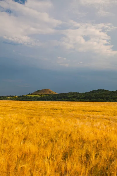 Vista Sulla Collina Cicov Boemia Ceca Highlands Prima Forte Tempesta — Foto Stock