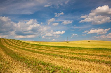 Gün batımında tepelerde hasat boş alan.