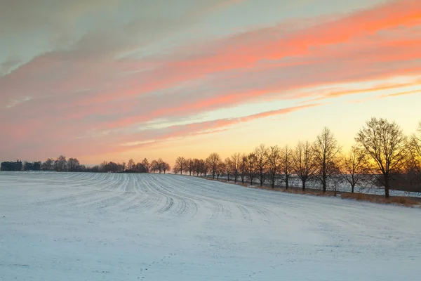 在寒冷的早晨的田野上 壮观的冬天风景 — 图库照片