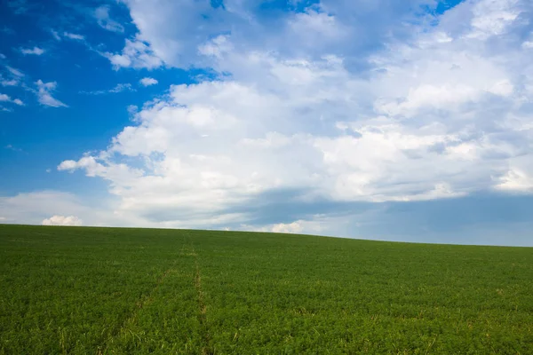 Empty Meadow Sunset Czech Bohemian Uplands Czech Republic — Stock Photo, Image