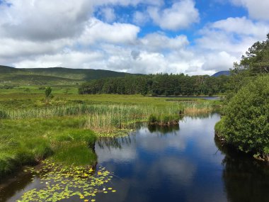 Glenveagh Milli Parkı Donegals hazinelerinden biridir. İrlanda.