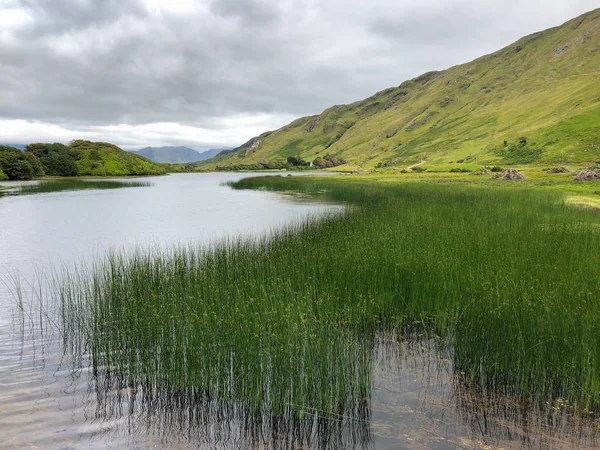 Paysage Près Abbaye Kylemore Dans Connemara Comté Galway Irlande — Photo