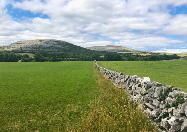 Burren National Park Irlande Burren Est Une Région Comté Clare — Photo