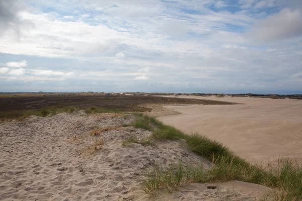 Rabjerg Mile Una Duna Costera Migratoria Entre Skagen Frederikshavn Dinamarca — Foto de Stock