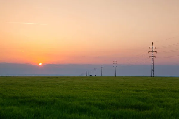 Sommar Morgon Landskap Med Vetefält Centrala Bohemiska Uplands Tjeckien — Stockfoto