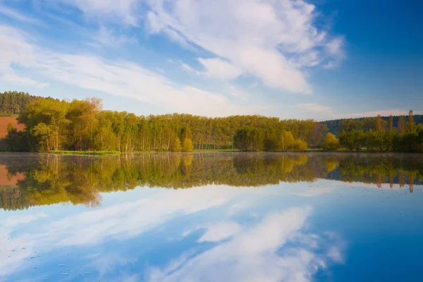 Symmetry Morning Pond Czech Republic — Stock Photo, Image