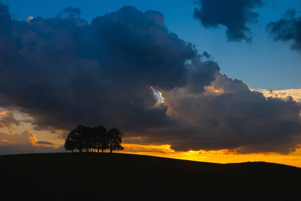 Eenzame Bomen Heuvel Regen Bij Dramatische Zonsondergang — Stockfoto