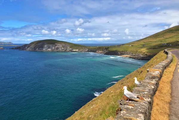 Wunderschöne Küste Zwischen Slea Head Und Dunmore Head Bei Slea — Stockfoto