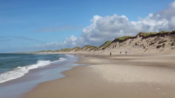 Thy Dinamarca Agosto 2018 Playa Enthy National Park Dinamarca — Vídeos de Stock