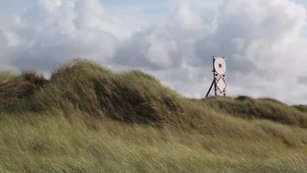 덴마크 2018 해변에서 Inthy 덴마크 — 비디오