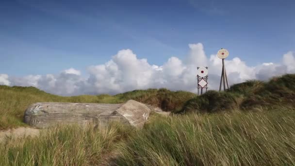 Thy Denmark August 2018 Beach Inthy National Park Denmark — Stock Video