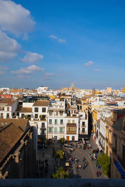 Sevilla Spanien November 2016 Flygfoto Från Toppen Sevilla Katedral Spanien — Stockfoto