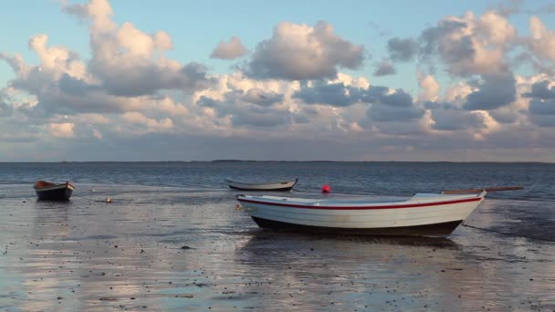 Αλιευτικά Σκάφη Στην Άδεια Παραλία Hjerting Γιουτλάνδη Δανία Hjerting Είναι — Αρχείο Βίντεο
