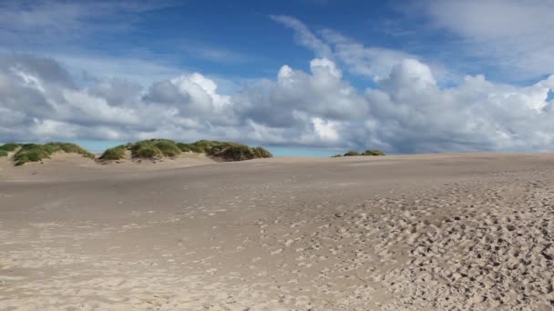 Rabjerg Μίλι Είναι Μια Μετεγκατάσταση Παράκτιων Αμμοθινών Μεταξύ Skagen Και — Αρχείο Βίντεο