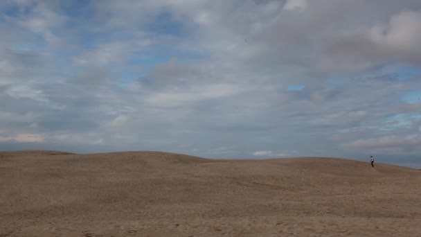 Rabjerg Mile Een Migreren Kust Duin Tussen Skagen Frederikshavn Denemarken — Stockvideo