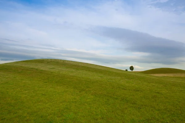 Detalhe Campo Golfe Fundo Azul Céu — Fotografia de Stock