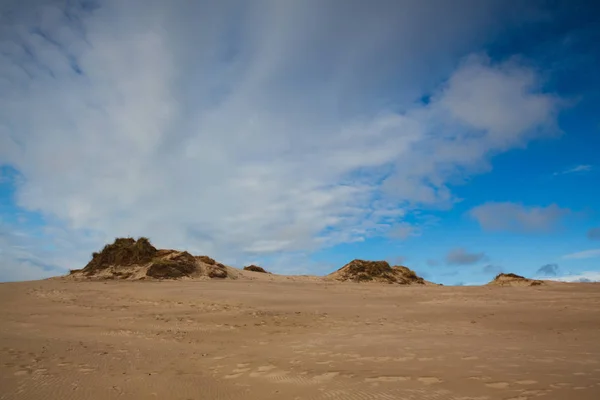 Rabjerg Mile Est Une Dune Côtière Migratrice Située Entre Skagen — Photo