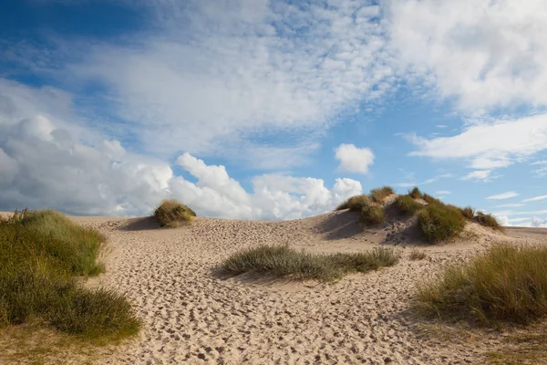 Rabjerg Ligger Migrerar Kustnära Sanddyn Mellan Skagen Och Frederikshavn Danmark — Stockfoto