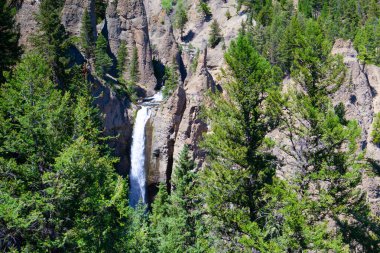 Yellowstone Nehri Kulesi düşüyor. Yellowstone Milli Parkı, Wyoming, ABD'deki en popüler şelale