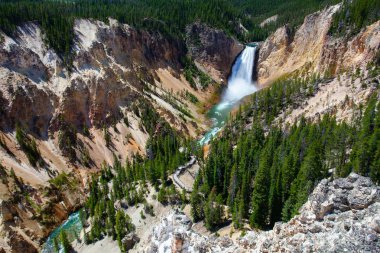 Yellowstone Nehri'nin aşağı düşüyor. Yellowstone Milli Parkı, Wyoming, ABD'deki en popüler şelale