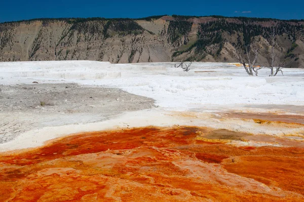 Mammoth Hot Springs Large Complex Hot Springs Hill Travertine Yellowstone — Stock Photo, Image