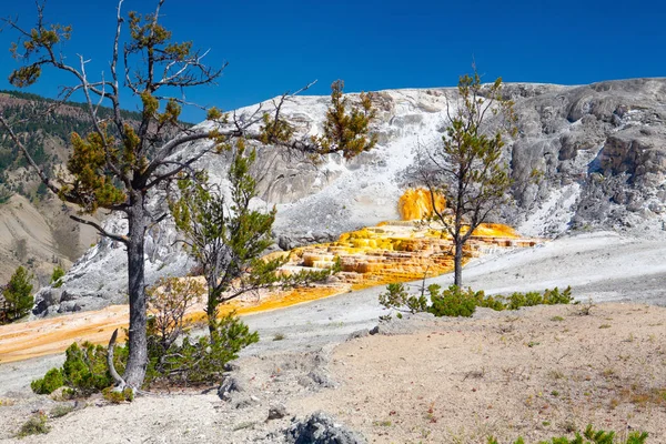 Mamutí Horké Prameny Rozsáhlý Komplex Termálních Pramenů Kopci Travertin Yellowstonském — Stock fotografie