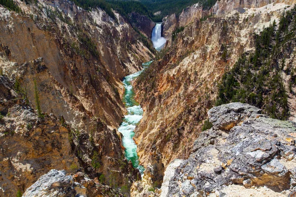 イエローストーン川の下の滝です 米国ワイオミング州イエローストーン国立公園に最も人気のある滝 — ストック写真
