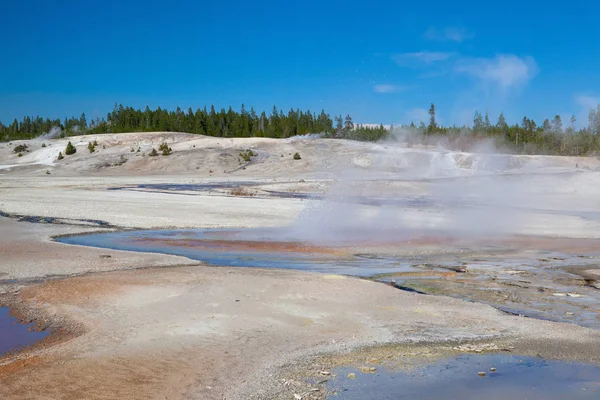 Νόρις Geyser Λεκάνη Στο Εθνικό Πάρκο Yellowstone Ουαϊόμινγκ Usa Είναι — Φωτογραφία Αρχείου