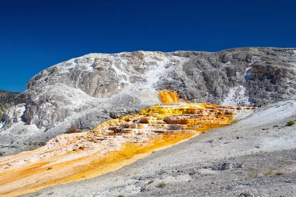 Mammoth Hot Springs Gran Complejo Aguas Termales Una Colina Travertino — Foto de Stock