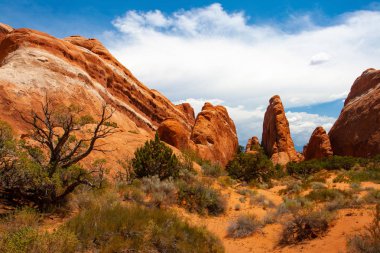 Arches National Park, Moab, Utah, Amerika Birleşik Devletleri. Güneydoğu Colorado Nehri tarafından sınırlanmıştır, 2.000'den fazla doğal kumtaşı kemerler site olarak bilinir
