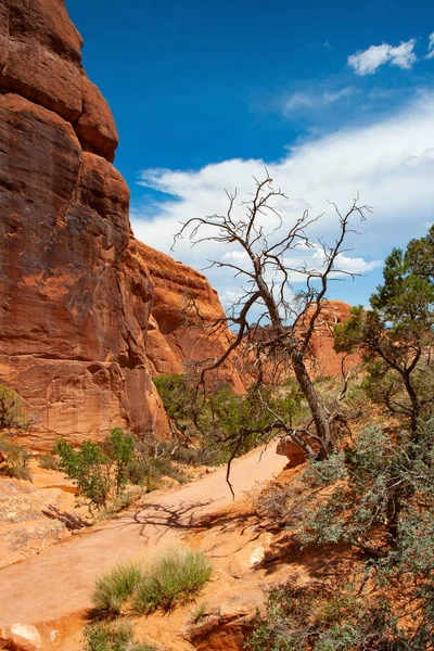 Arches National Park Moab Utah Bordeado Por Río Colorado Sureste —  Fotos de Stock