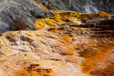 Mamut Kaplıcalar kaplıcalar Traverten Yellowstone Milli Parkı'nda bir tepe üzerinde büyük bir kompleks olduğunu. Wyoming, ABD.