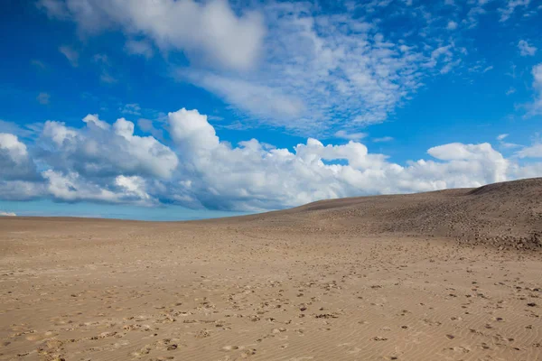 内の見は スカーゲン フレデリクスハウン デンマーク間移行する砂丘です それは約 のエリア の高さの北ヨーロッパで最大の移動砂丘 — ストック写真