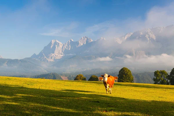 Bir Çiftlikte Yüksek Dağlarda Planai Avusturya — Stok fotoğraf