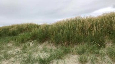 Donegal Havaalanı yakınlarındaki kum tepelerinde. Havaalanı, özel jet rezervasyonu Private Fly tarafından yapılan bir ankette 2018 için dünyanın en manzaralı yaklaşımı seçildi...