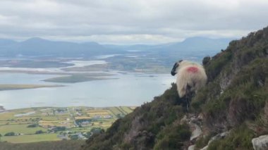 Croagh Patrick dağ Co Mayo, Westport, West Coast İrlanda, Atlantik Okyanusu üzerinden görüntüleyin. Şaşırtıcı doğal deniz ve dağ, yatay, bulutlu gün Adaları.