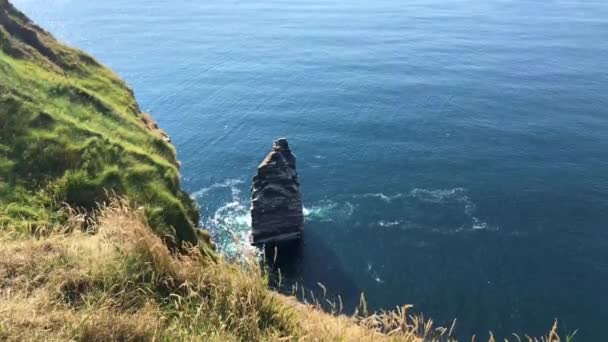 Διάσημο Cliffs Moher Είναι Βράχους Στη Θάλασσα Που Βρίσκεται Στο — Αρχείο Βίντεο