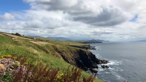 美丽的海滩在 Slea 头和邓莫尔头之间在 Slea 头驱动 爱尔兰多数风景路线之一 丁格尔半岛 爱尔兰 — 图库视频影像