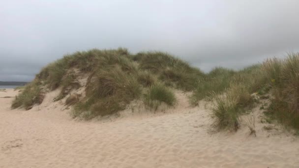 Sanddynerna Nära Donegals Flygplats Flygplatsen Har Valts Till Världens Mest — Stockvideo