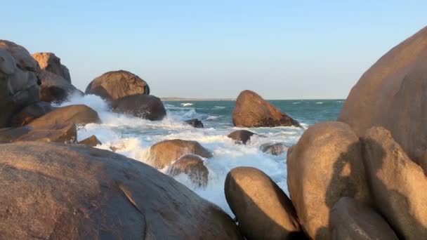 在海岸上的一个小港口 雅拉国家公园 斯里兰卡 — 图库视频影像