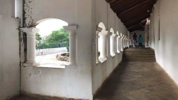 Dambulla Sri Lanka Enero 2019 Dambulla Cueva Templo También Conocido — Vídeos de Stock