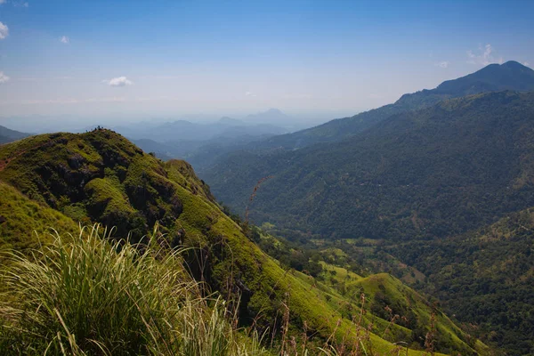 Blick Vom Kleinen Damm Sri Lanka Mini Adams Gipfel Ist — Stockfoto