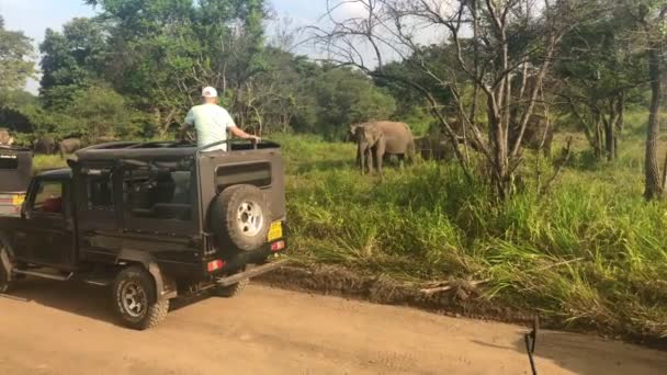 Hurulu Eco Park Sri Lanka Enero 2019 Safari Hurulu Eco — Vídeo de stock