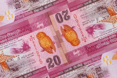 Sri Lanka banknotlarının simetrik bileşimi. Rupi, Sri Lanka 'nın ulusal para birimi..