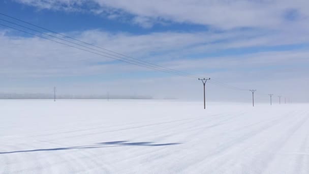 Winterlandschap Met Elektriciteitskolommen Een Besneeuwd Veld — Stockvideo